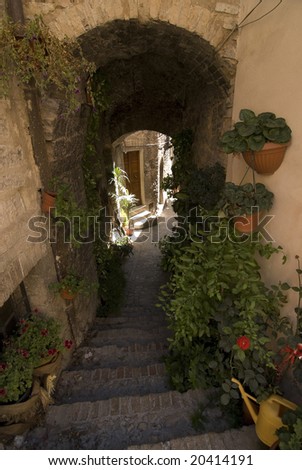 Spello (Perugia, Umbria, Italy) - Typical alley with potted plants and flowers