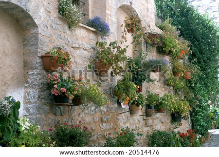 Spello (Perugia, Umbria, Italy) - Potted plants and flowers hanged to an old house