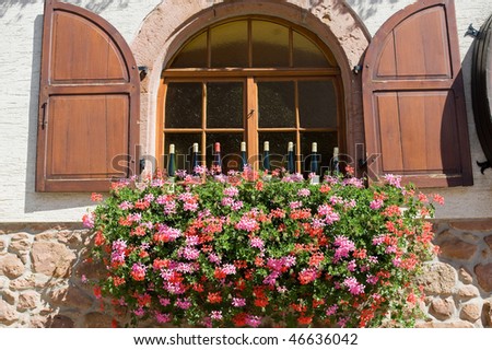 Itterswiller (Bas-Rhin, Alsace, France) -  Window with wine bottles and red pink flowers