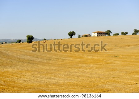 Summer landscape in Lazio (Italy) near Viterbo: farm house