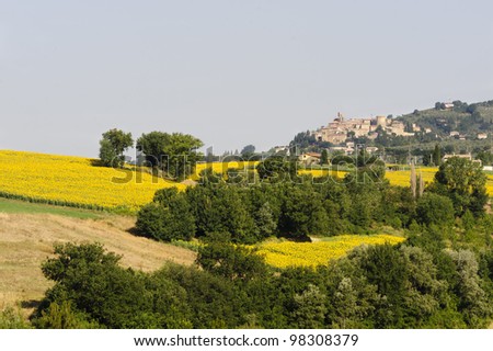 Country landscape in Umbria near Todi (Perugia, Italy) at summer