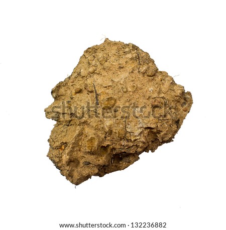 Dirt Clods Isolated on a white background