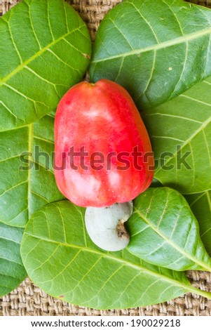 Tropical Cashew fruits and leaf on hemp sack