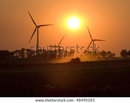 Agriculture. Harvest. Evening mowing of cereal through combine harvester on background of windmills