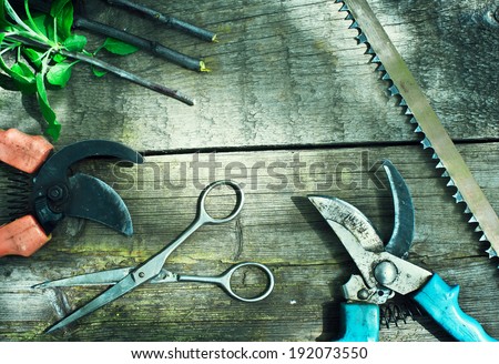 Set of garden tools. Pruning in the garden. Frame of garden tools