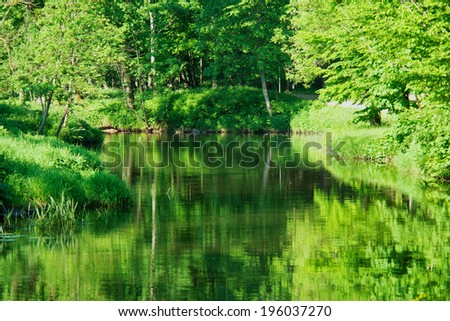 green trees reflection in water