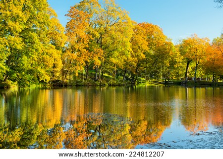 Landscape of autumn park. Pond in park