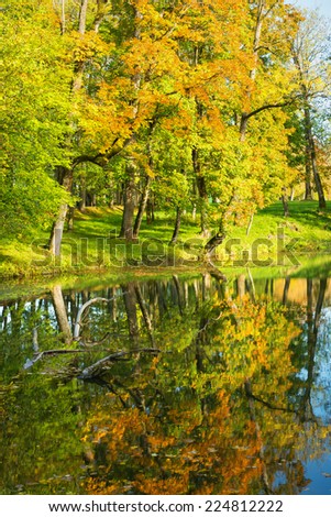Landscape of autumn park. Pond in park