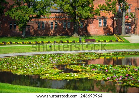 pond in park