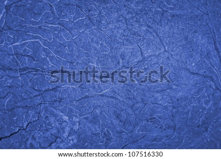 blue background of coconut  inside texture, Coconut texture in close-up