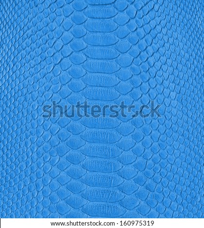 blue snake skin imitation background