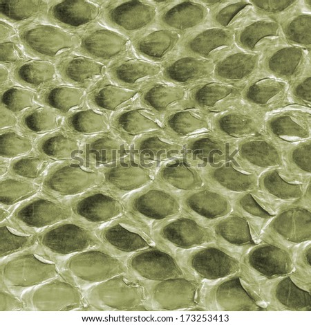 green reptile skin texture closeup, fragment of natural pattern