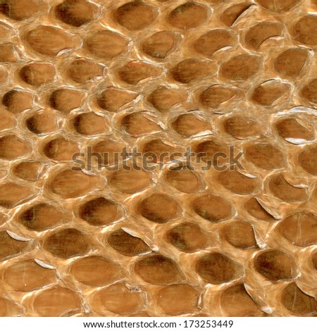 brown reptile skin texture closeup, fragment of natural pattern