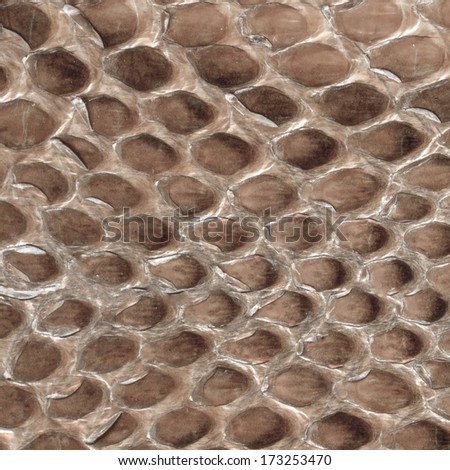 brown reptile skin texture closeup, fragment of natural pattern