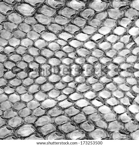 Reptile skin, white black leather background