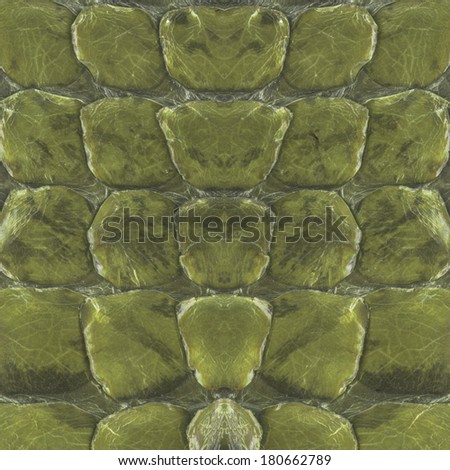 Reptile skin, green leather background
