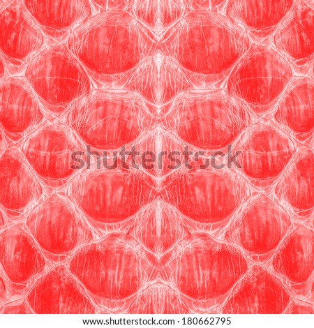 Reptile skin, red leather background