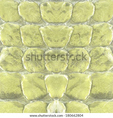 Reptile skin, green leather background