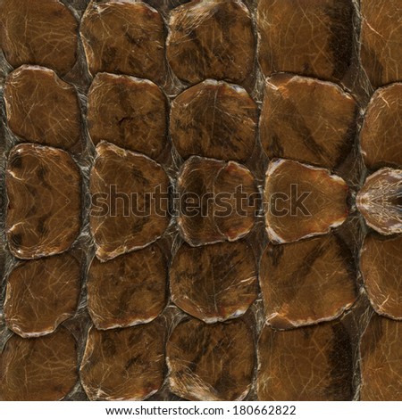 Reptile skin, brown leather background