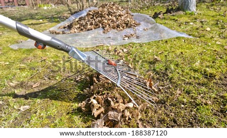 Pile of fall leaves with fan rake on lawn, garden accessories