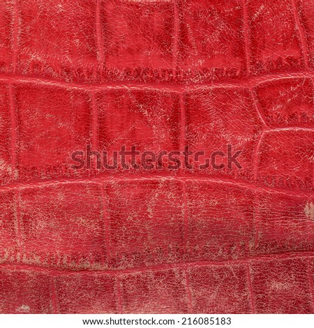 fragment of old red leather goods in snakeskin