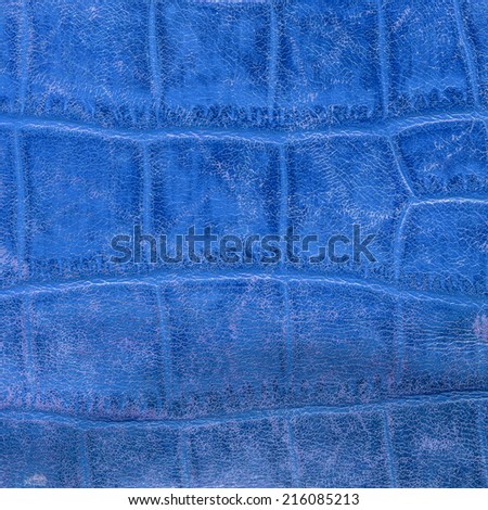 fragment of old blue leather goods in snakeskin