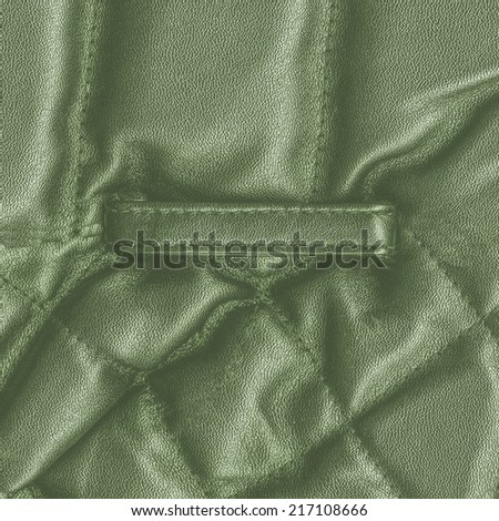 fragment of green leather clothing accessories