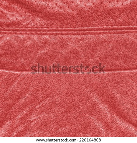 fragment of  red leather clothing accessories