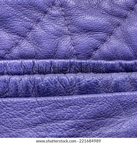 fragment of violet leather clothing accessories