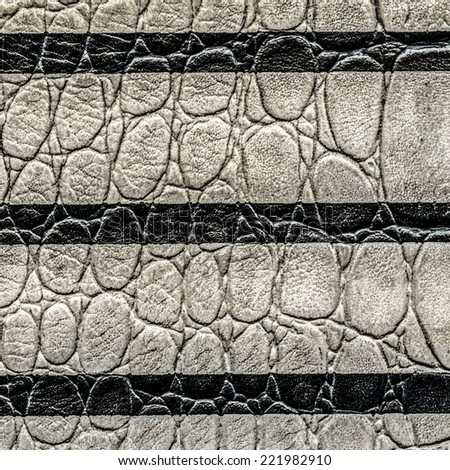 fragment of gray leather clothing accessories, lines