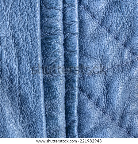 fragment of blue leather clothing accessories