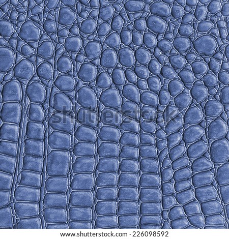 blue reptile skin texture, fragment of natural pattern