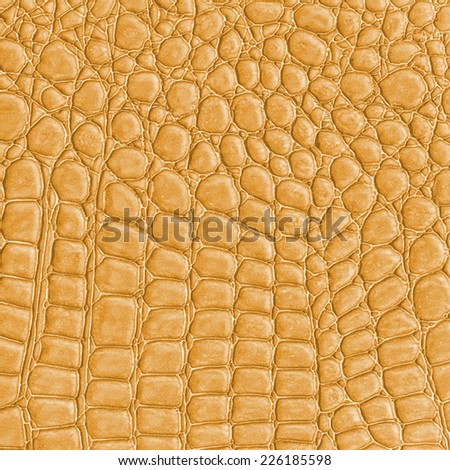 yellow reptile skin texture, fragment of natural pattern