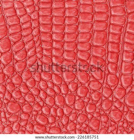 red reptile skin texture, fragment of natural pattern