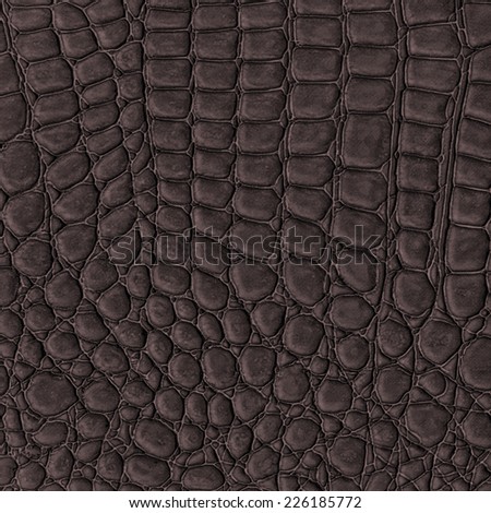 dark brown reptile skin texture closeup, fragment of natural pattern