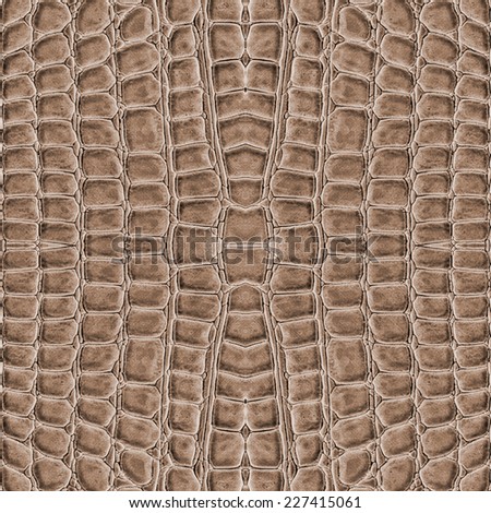 brown reptile skin texture