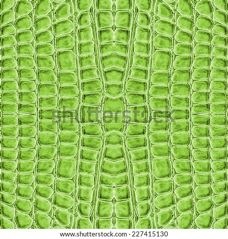 green reptile skin texture