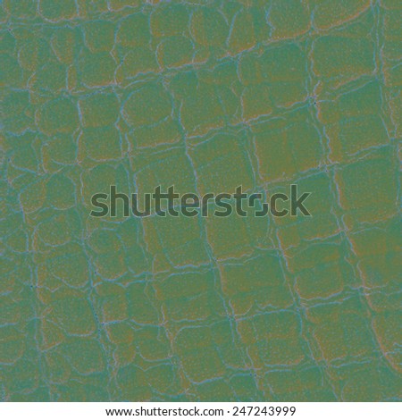 background of reptile skin