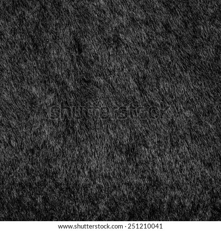 natural black fur texture as background