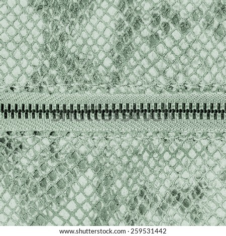 light green artificial snake skin texture closeup, zipper (fragment of female handbag imitation snakeskin)