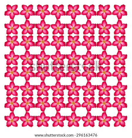 Pink desert seamless pattern background