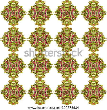 Coleus leaves seamless isolated on white background