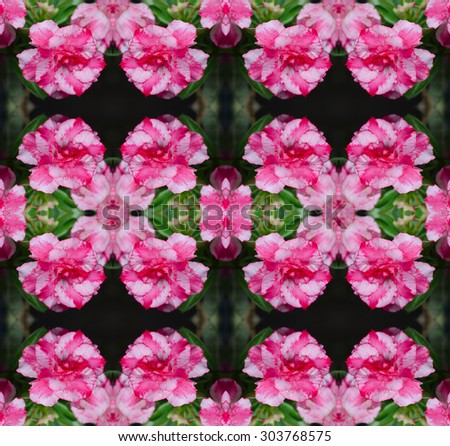 desert rose flower, adenium obesum seamless pattern background
