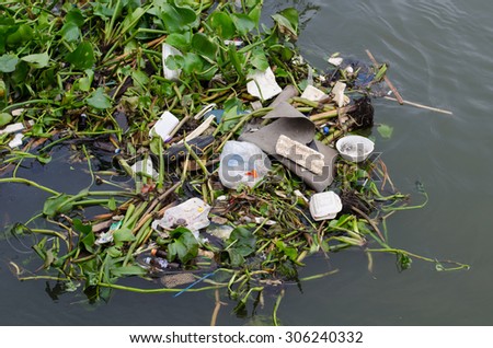 Bangkok ,Thailand-August ,1 : Garbage in the Chao Phraya River at Bangkok on August 1, 2015 . In Thailand a lot of people have no ecologic education and respect for the environment.