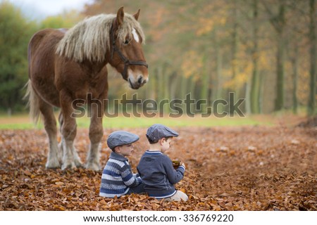Children sit close to the horses in the forest