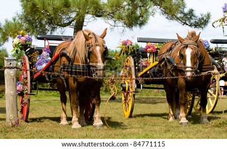 two horses with cart and flowers in brittany festival