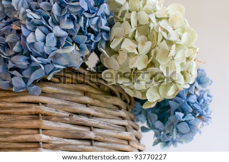 dried hydrangea in basket in still life bouquet