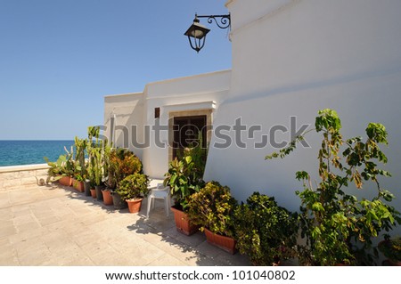 A typical white mediterrean terrace with many plants. South of Italy.