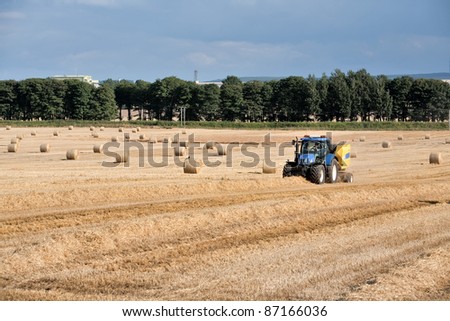 Harvesting tractor in a sunny wheat field in summer