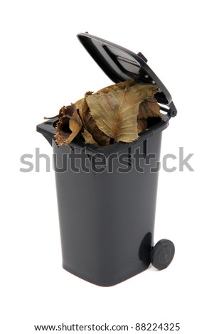 organic waste in black rubbish bin on white